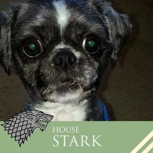 Meet your Posher, Paula